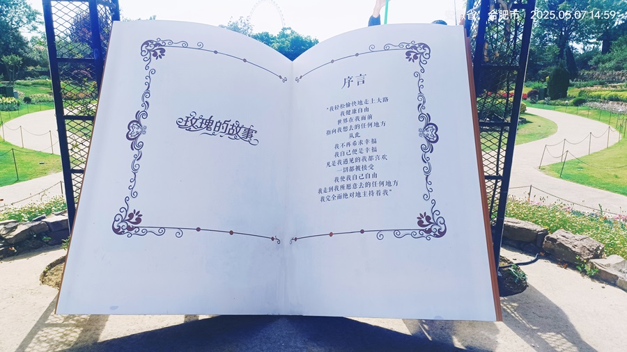 玫瑰的故事書.jpg